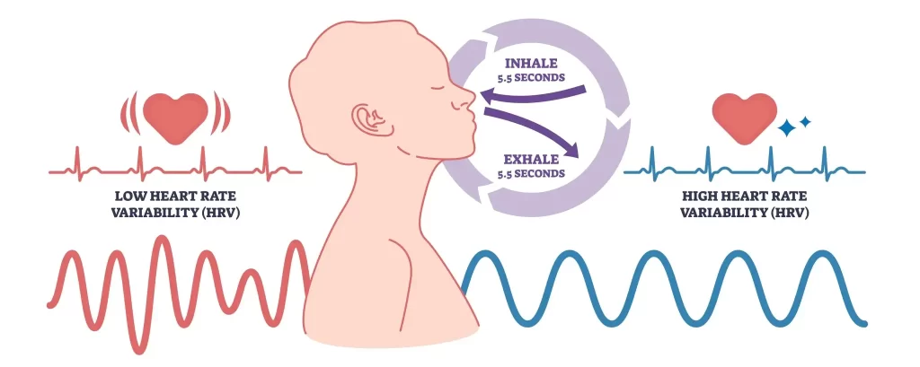 Stress to steadiness 3